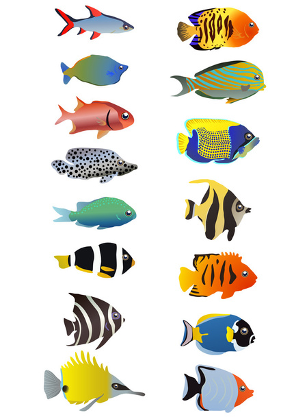 Tropical fishes - Vetor, Imagem