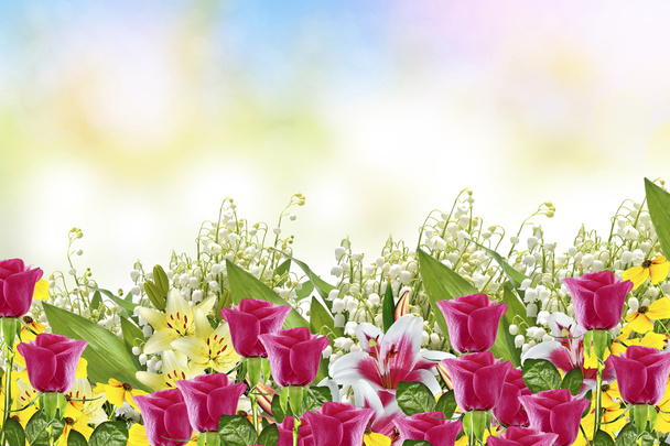 Όμορφα λουλούδια κρίνο και κρίνος της κοιλάδας - Φωτογραφία, εικόνα
