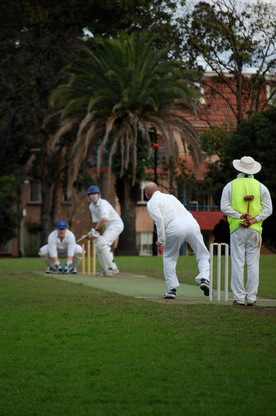 Krikettiottelu
 - Valokuva, kuva