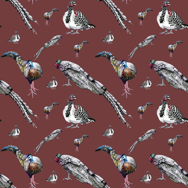 watercolor peacocks pattern  - Photo, Image