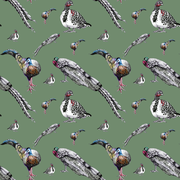 watercolor peacocks pattern  - Photo, Image