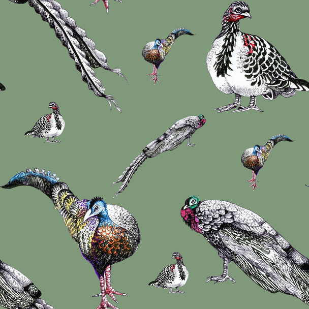 watercolor peacocks pattern  - Фото, зображення
