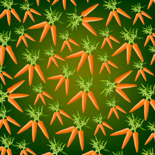 Background from carrots - Vector, Image