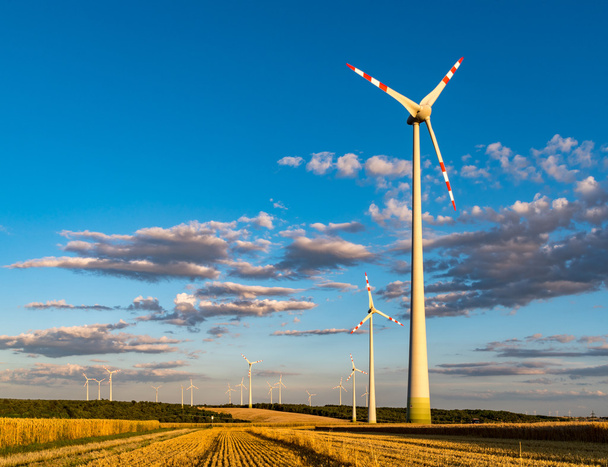 Windmills on the field - Photo, Image