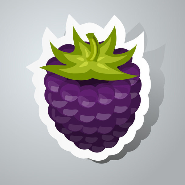 A sticker with blackberry - Διάνυσμα, εικόνα