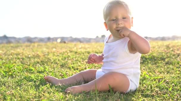 Glücklicher kleiner Junge sitzt auf dem Gras - Filmmaterial, Video