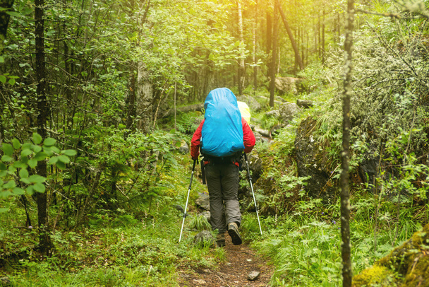 Mann mit Rucksack wandert im Wald, Rückansicht - Foto, Bild