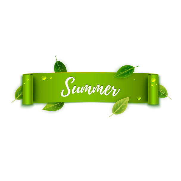 Text on green ribbon with leaves  - Vector, imagen