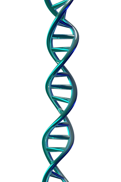 Спіралі ДНК, ізольовані на білому, 3d-рендерінг - Фото, зображення