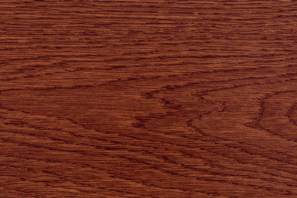wood texture. Texture of wood background closeup - Foto, imagen