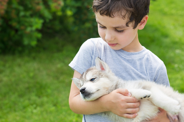 Portret van een schattige kleine jongen met een slapende husky puppy - Foto, afbeelding