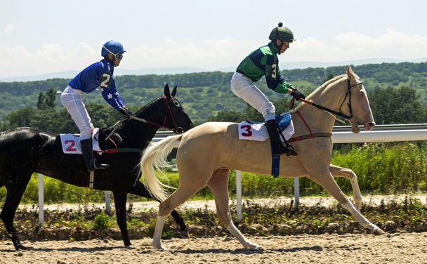 Carreras de caballos en Pyatigorsk. - Foto, imagen