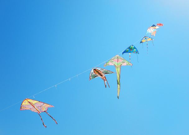 lentävät leijat sinisellä taivaalla
 - Valokuva, kuva