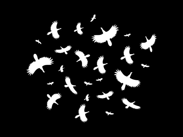 Uno stormo di uccelli che volano in cerchio su uno sfondo nero. Illustrazione vettoriale
. - Vettoriali, immagini