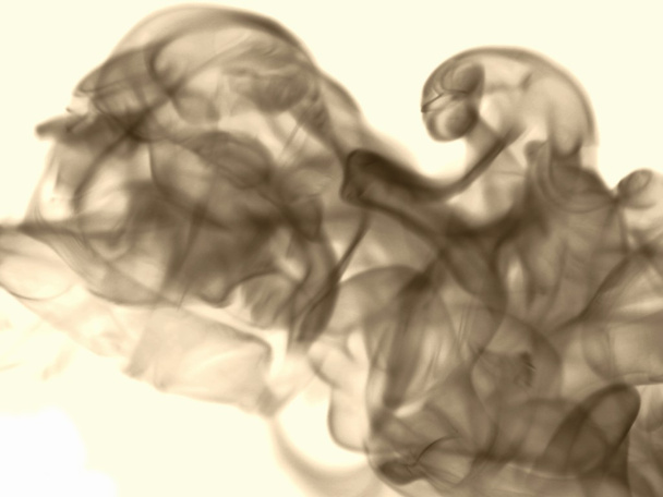 Texture smoke at the white background - Valokuva, kuva