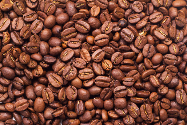  Big coffee beans - Photo, Image