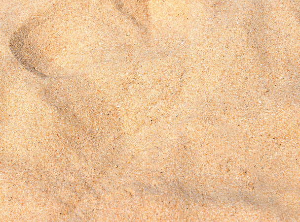 homok minta a strand nyáron - Fotó, kép