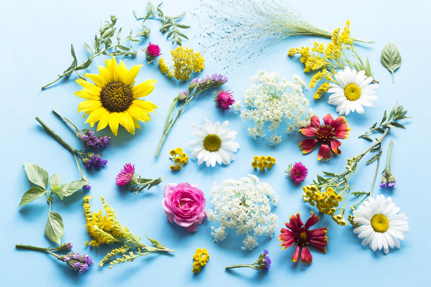 Summer Flowers on a Blue Background  - Фото, изображение