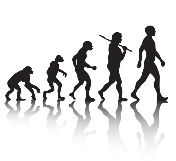 白い背景に人間の進化のシルエット、ベクトルイラスト - ベクター画像