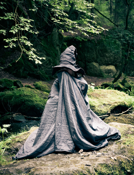 boszorkány erdőben - Fotó, kép
