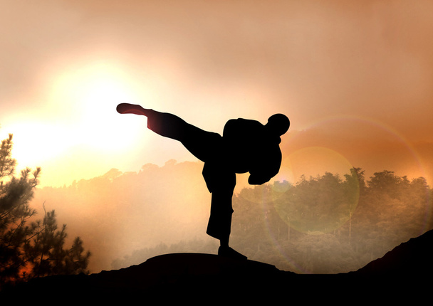 山に karateka トレーニングの株価図 - 写真・画像