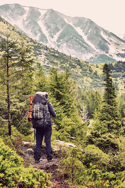 Tourist with a backpack in the woods looking at mountain panoram - 写真・画像