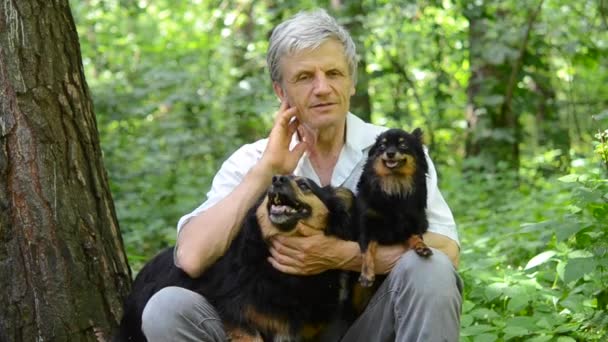 uomo con capelli grigi e cane seduto nella foresta
 - Filmati, video