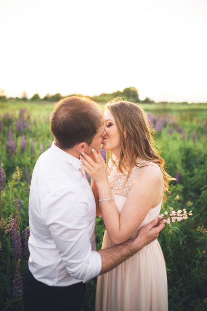 Beautiful couple, bride, groom kissing and hugging in the field sunset - Zdjęcie, obraz
