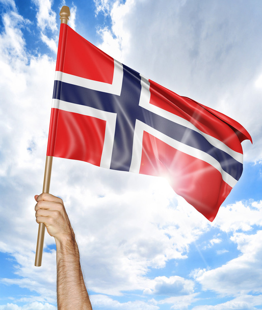 Person's hand holding the Norwegian national flag and waving it in the sky, 3D rendering - Photo, Image