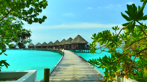 Красивый Мальдивский остров с океаном
 - Кадры, видео