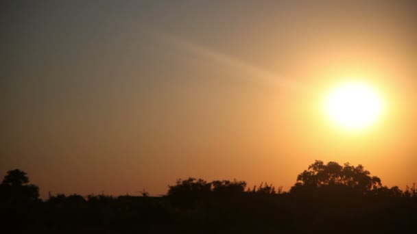 L'oro del sole al tramonto
 - Filmati, video