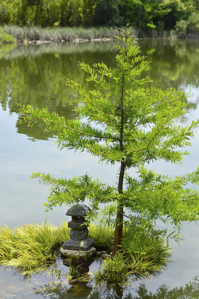 Японский сад
 - Фото, изображение