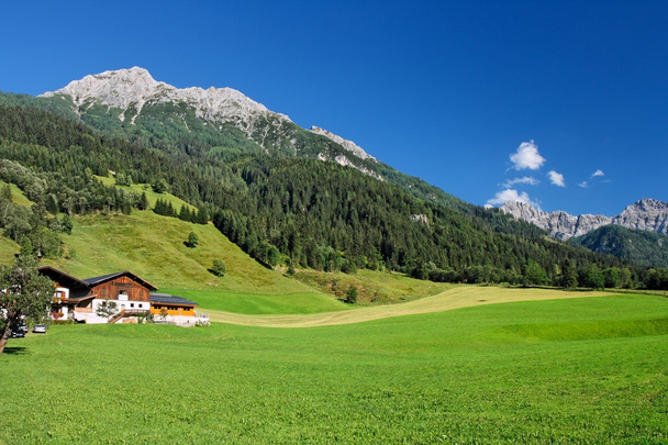 az osztrák alpesi táj - Fotó, kép