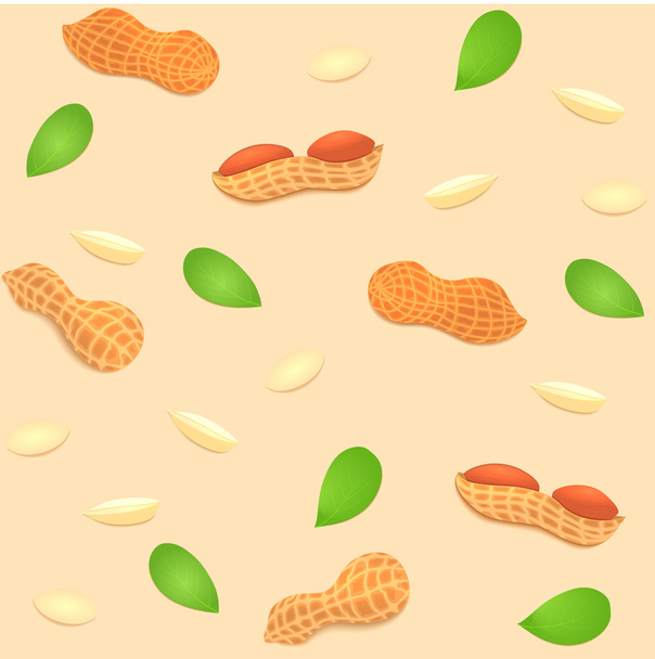 Vector sem costura porca de amendoim de fundo. Um padrão de amendoins descascados com casca e descascados, folhas. Imagem saborosa em porcas de fundo bege para impressão em embalagens, publicidade de alimentos saudáveis
 - Vetor, Imagem