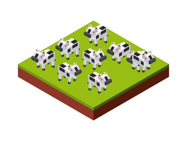 Icono de vacas. Diseño isométrico. Gráfico vectorial
 - Vector, Imagen