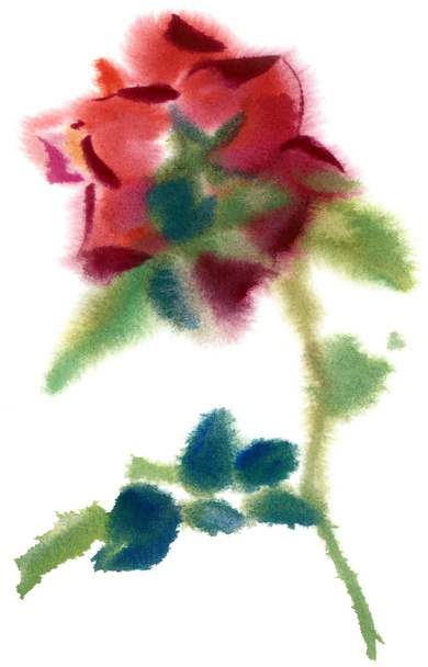 watercolor red roses - Фото, изображение