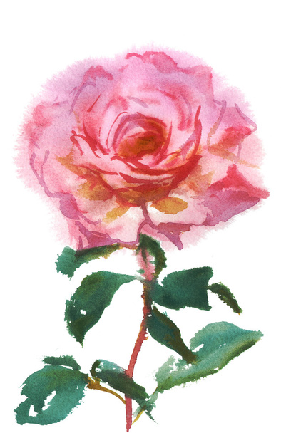  single pink rose - Photo, Image