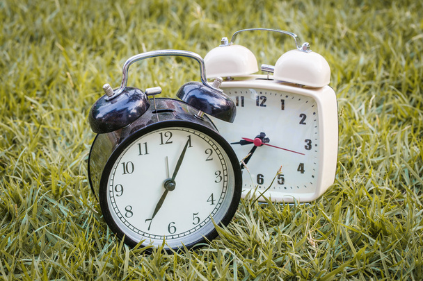 Reloj despertador por la mañana en el objeto de hierba
  - Foto, imagen