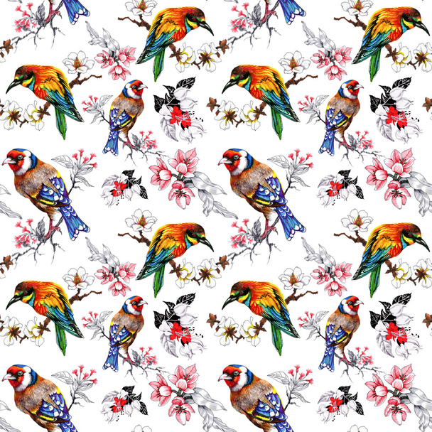 pattern with  flowers and exotic birds  - Foto, immagini