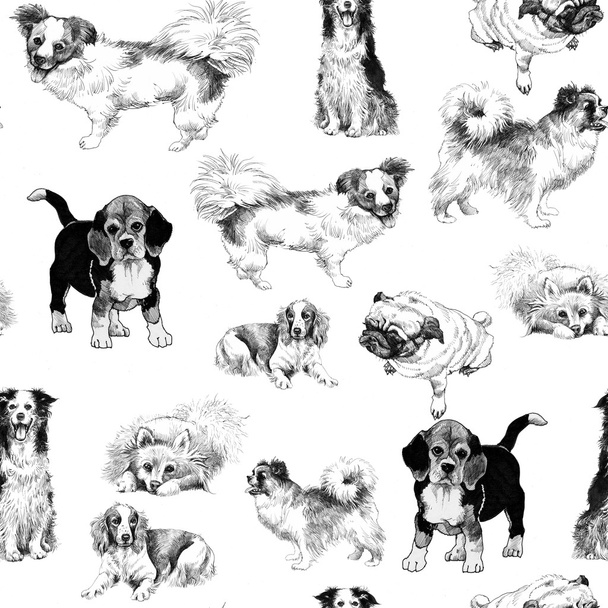 Бесшовный рисунок с собаками-набросками
 - Фото, изображение