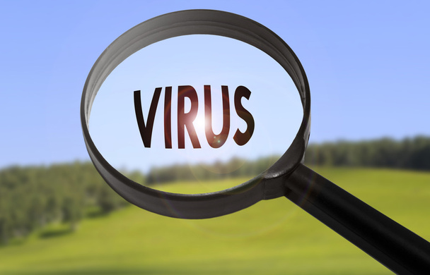 Magnifying glass with the word virus on blurred nature background. Searching virus concept - Фото, зображення