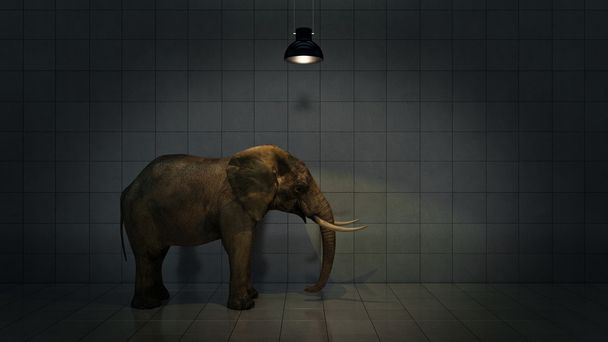 eenzame olifant in de kamer. Creatief concept. 3D-rendering - Foto, afbeelding