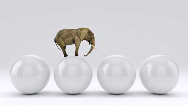 ελέφαντας και μπάλα. 3D rendering - Φωτογραφία, εικόνα