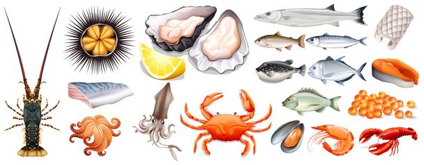 Reihe von verschiedenen Arten von Meeresfrüchten - Vektor, Bild