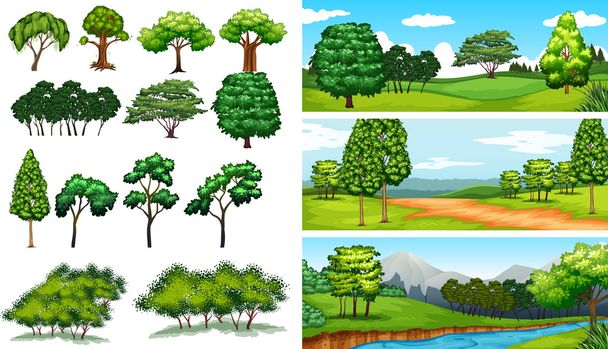 Escenas de naturaleza con árboles y campos
 - Vector, Imagen