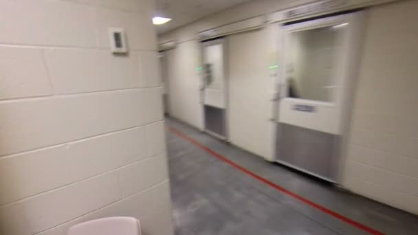 Powder bewegt sich durch Korridor - Filmmaterial, Video