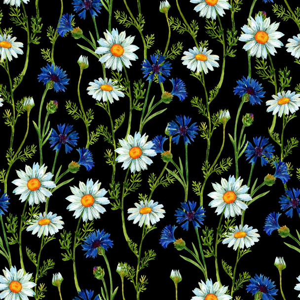 Watercolor meadow seamless pattern with chamomiles and cornflowers . Hand painted illustration - Fotoğraf, Görsel