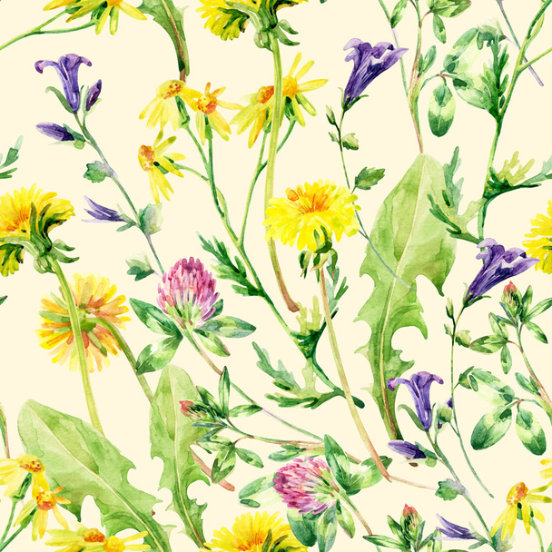 Meadow akvarel volně žijící květiny - Fotografie, Obrázek