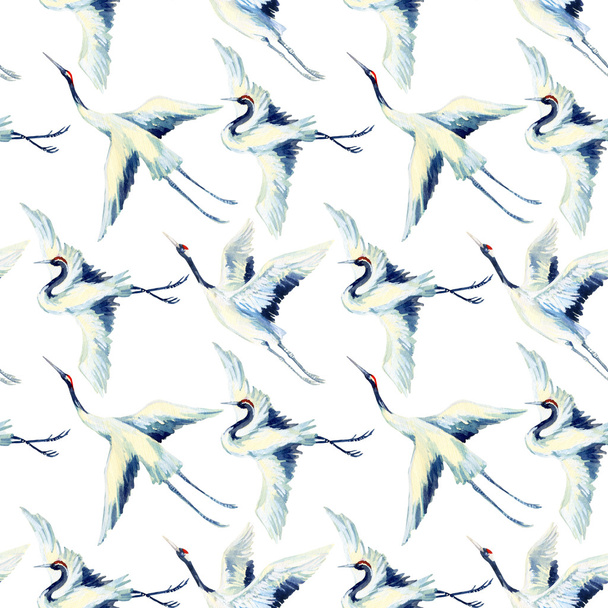 Watercolor asian crane bird seamless pattern - Photo, image