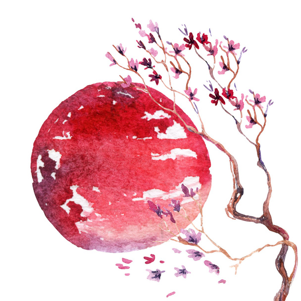 Japan Cherry blossom. - Foto, Imagem